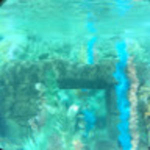 Meet your Posher, Helen